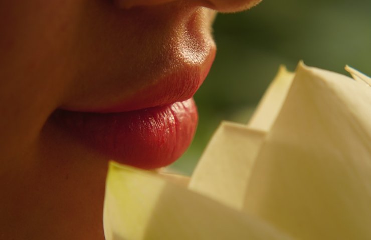 Labbra rimpolpate fiore di loto