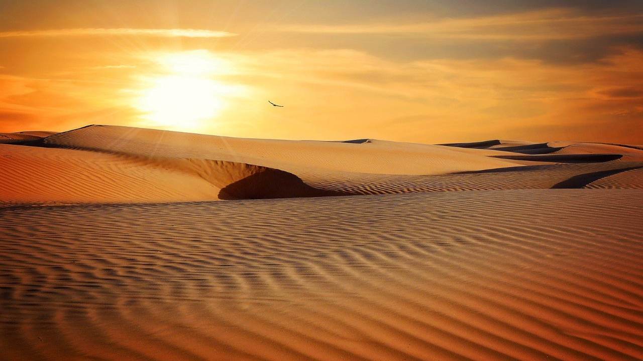 deserto moda dune