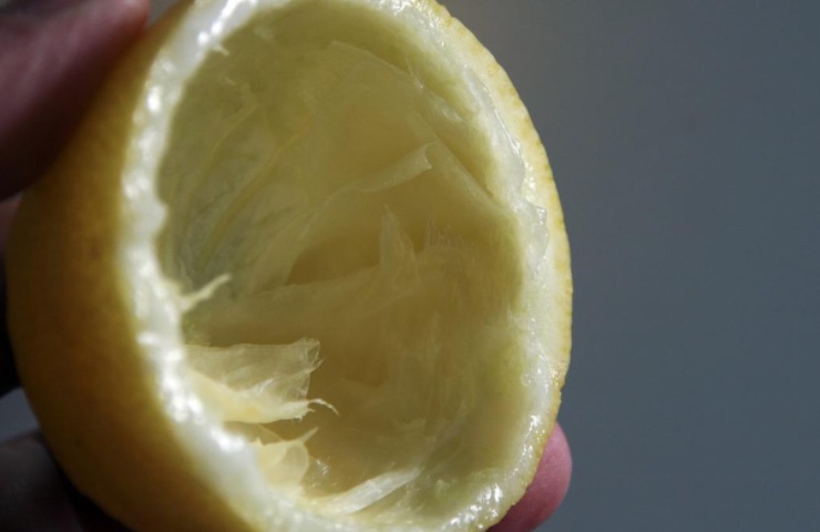 recycling lemon 