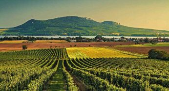 Idea originale per festeggiare la Pasqua: in bicicletta tra le vigne