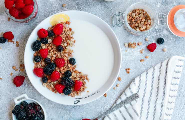 fiocchi d'avena benefici