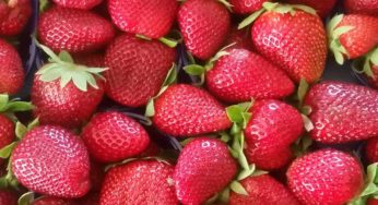 Per un fisico asciutto, la frutta va mangiata prima o dopo i pasti?