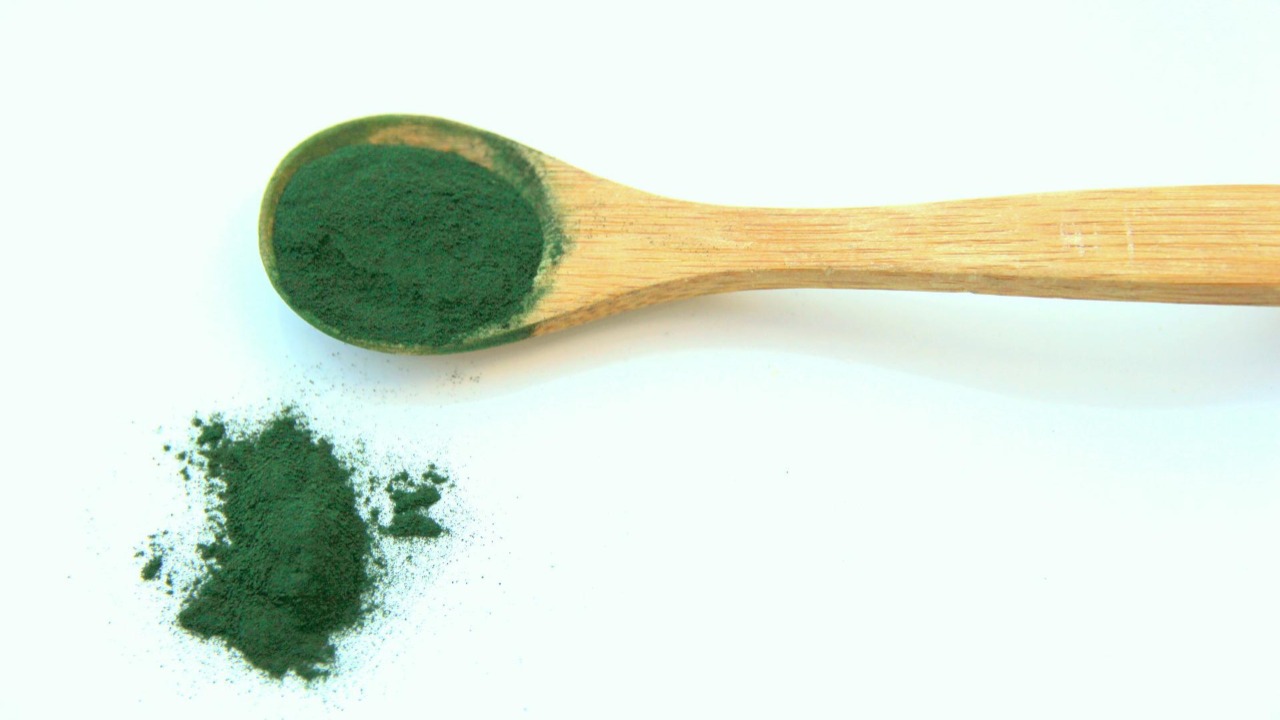 Alga spirulina