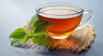 Tisana diuretica: un vero elisir, tutti i benefici