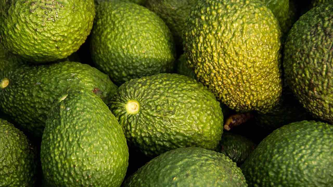 avocado miti da sfatare