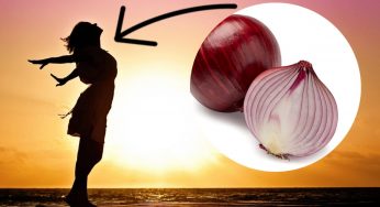 Cipolla cruda, perchè consumarla come nuovo rimedio benessere: i benefici a cui non crederai