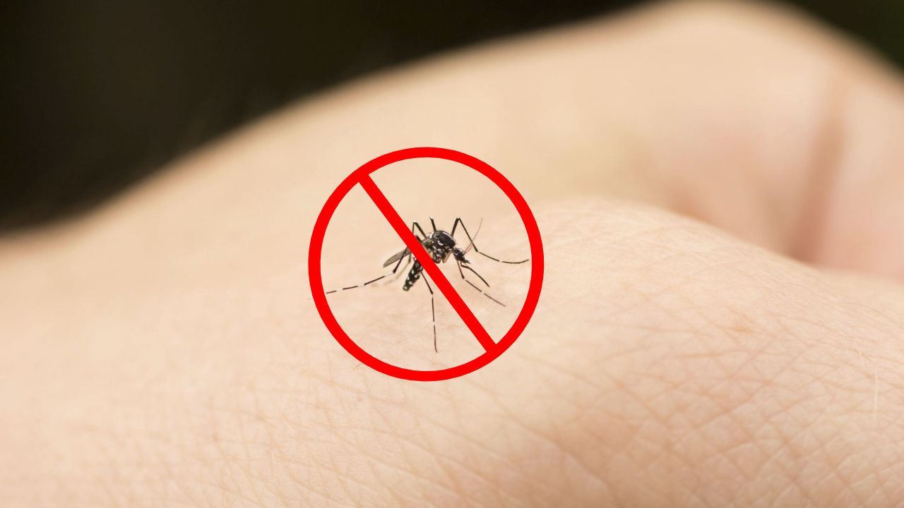 come non farsi mordere dalle zanzare