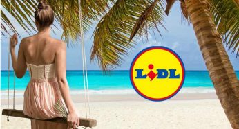 Lidl, offerta imperdibile per questi prodotti must dell’estate: stanno andando a ruba, ecco i prezzi