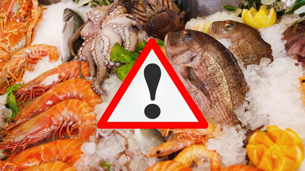 Pesce richiamo alimentare