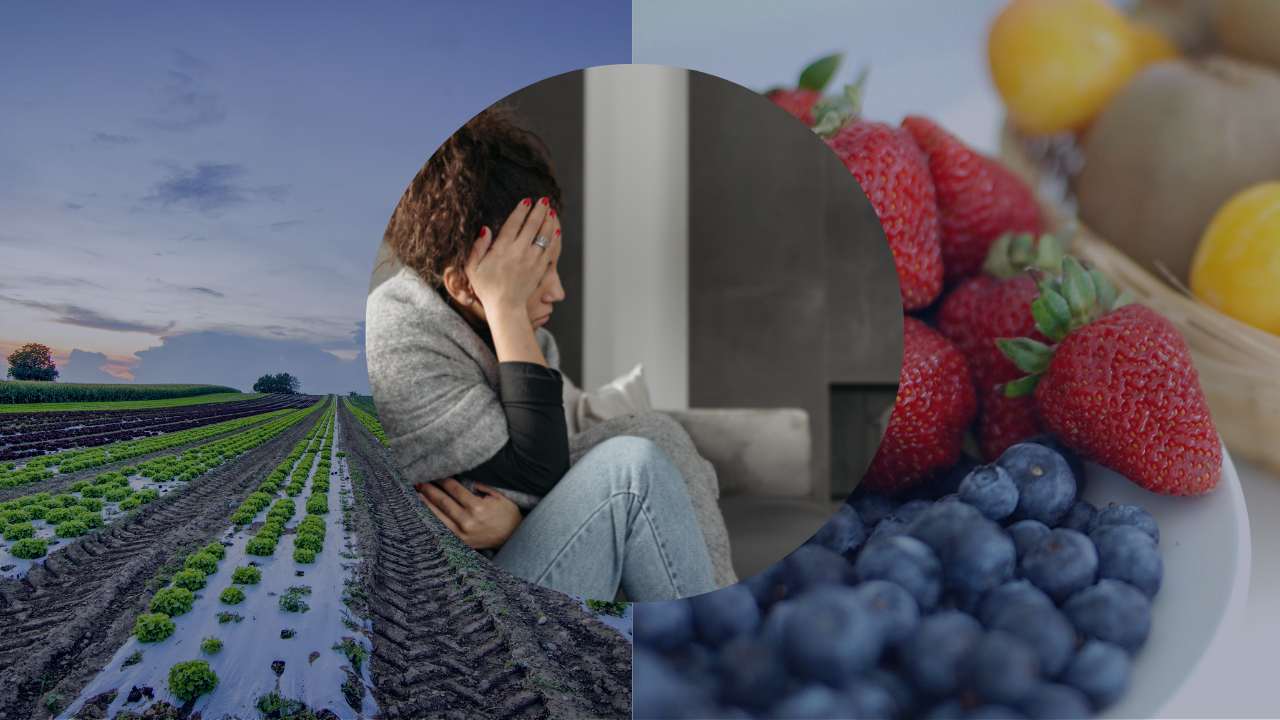 Pesticidi frutta
