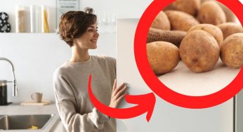 Cattivi odori nel frigo, utilizza questo ortaggio e non avrai più problemi