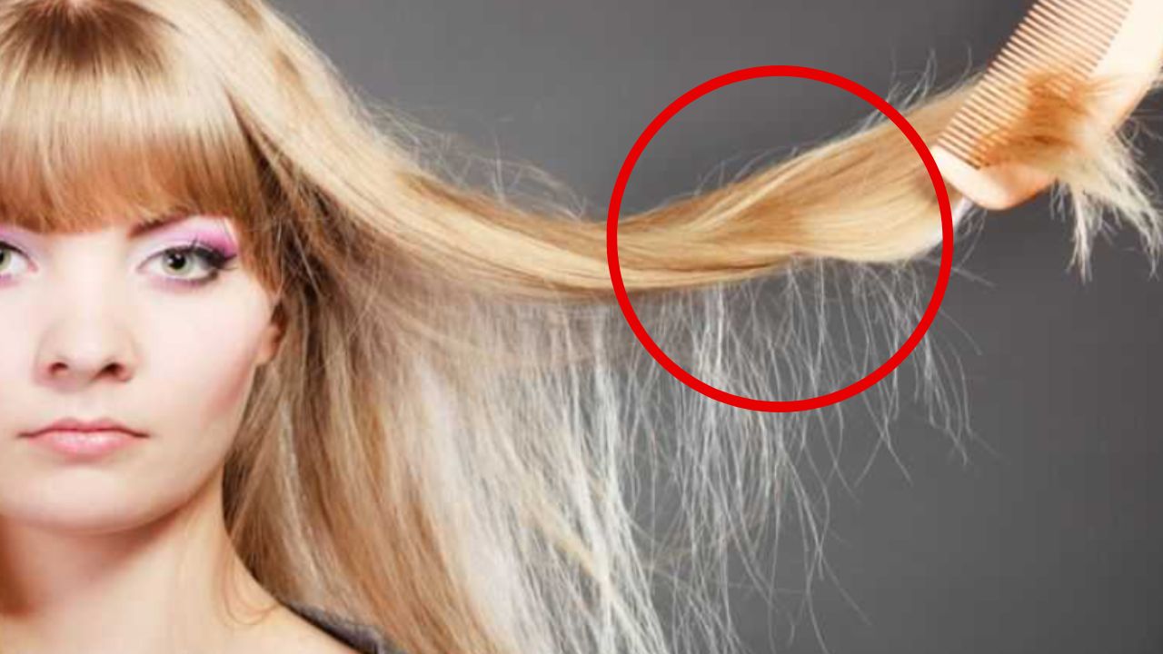 capelli rovinati rimedi naturali uovo maschera