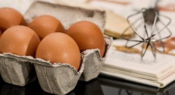 Dove conservare le uova: il dilemma è finalmente risolto