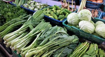 Esiste un ortaggio totalmente sconosciuto dalle mille proprietà a basso costo: scoprilo ora