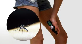 Zanzare, gli unici rimedi davvero efficaci: i repellenti migliori (e peggiori) secondo gli ultimi test