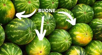 Anguria, come riconoscere quella più buona? Basta essere attenti a queste 5 caratteristiche