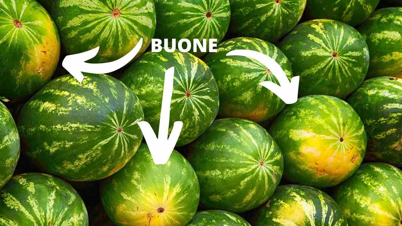 anguria più buona