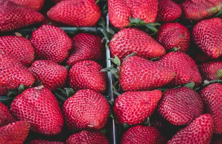 fragole variante piena pesticidi