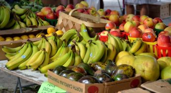 Lotta alla stitichezza: questo tipo di frutta ci viene in soccorso