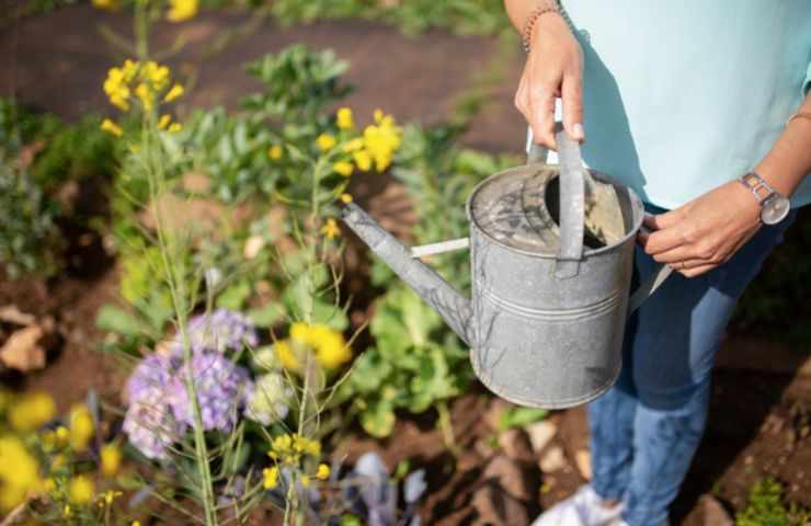 Siccità multe innaffiare giardino