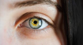 Occhi verdi, ecco il make up giusto. Come lo devi realizzare