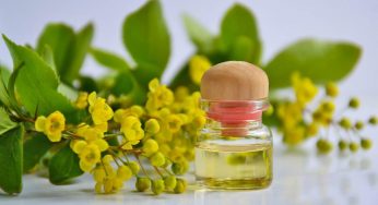 Olio di Marula, dovresti usarlo per questo motivo: la scoperta incredibile