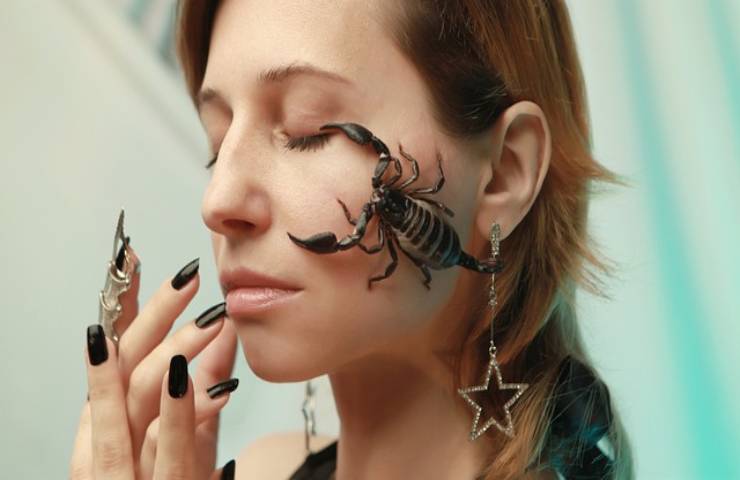 oroscopo zodiaco segni partner