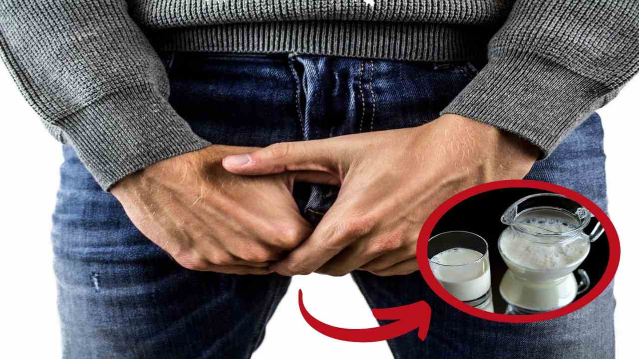Tumore prostata rischi latte causa