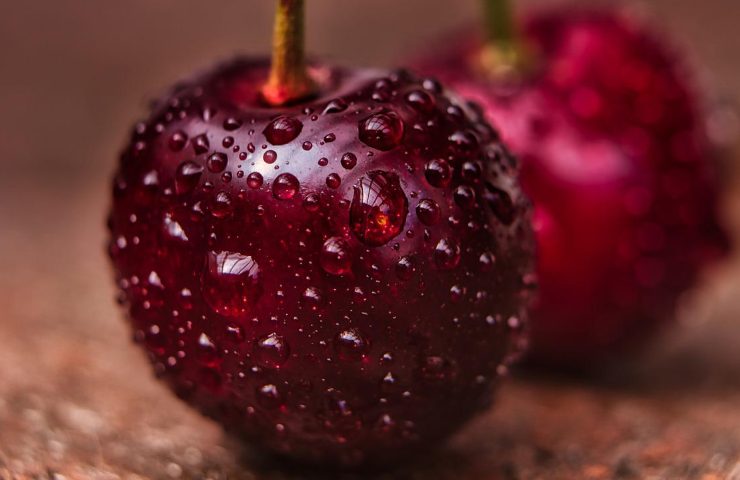 Frutta estiva pesticidi dati test