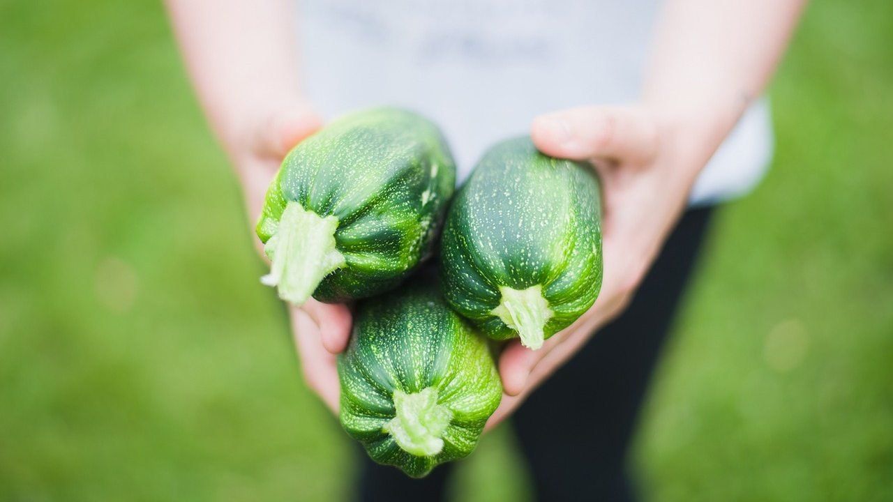 Zucchine occhio ai veleni