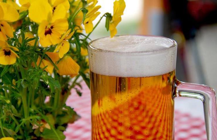 birra acqua fogna marca