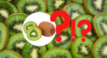 Buccia del kiwi, davvero si può mangiare? La verità stupisce chiunque