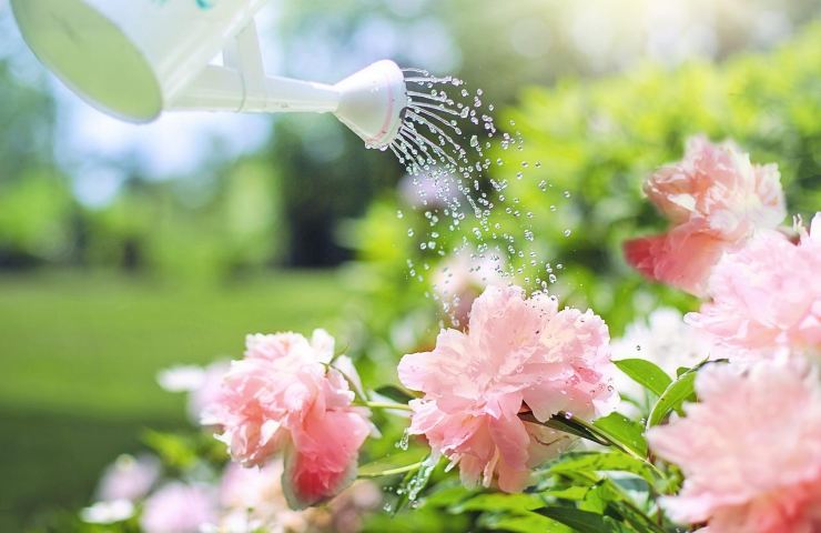 acqua giardino come risparmiare