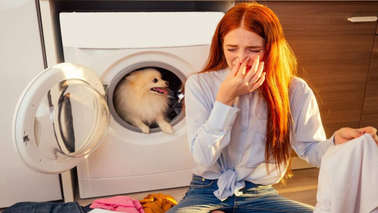 lavatrice problemi di salute germi e batteri rimedi