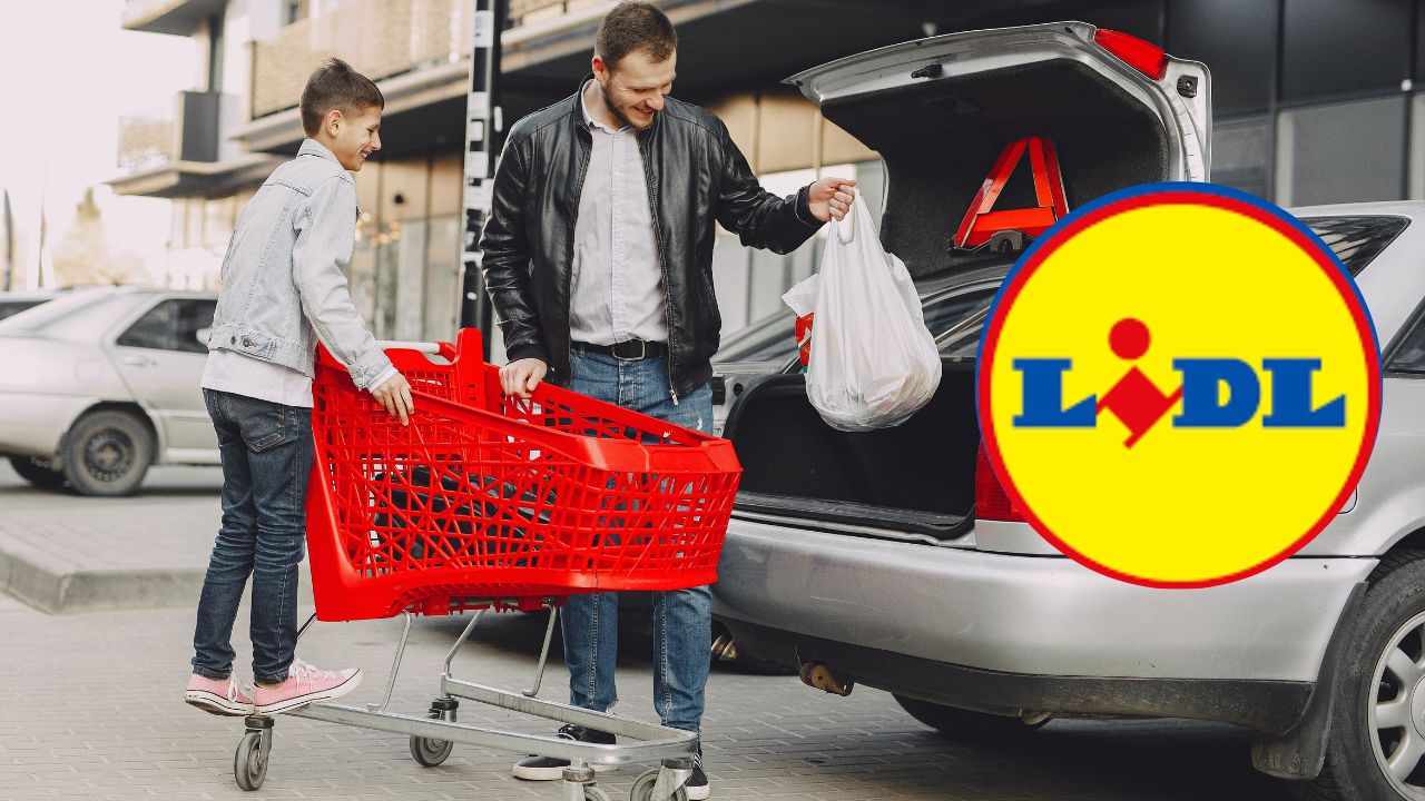 lidl offerta crema cien giorno notte prezzo basso