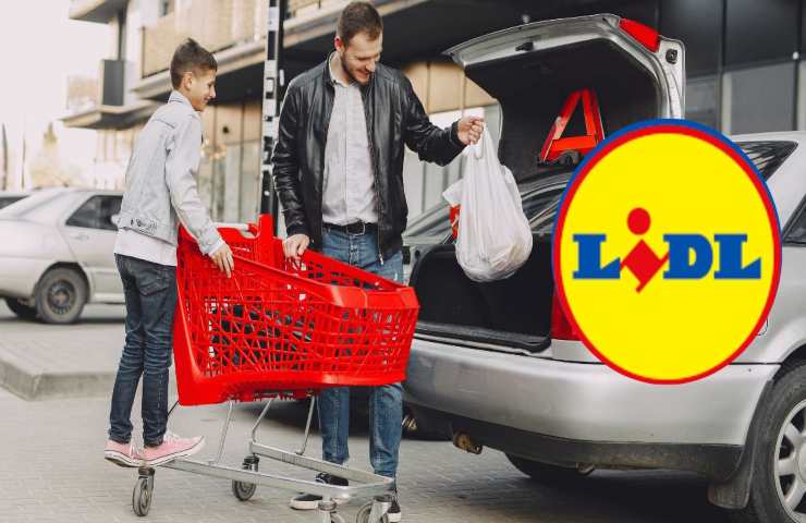 lidl offerta crema cien giorno notte prezzo basso 