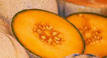 Bucce di melone, devi farci questo in casa: sarà una svolta