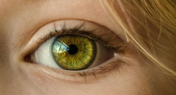 Ciglia più lunghe e folte: addio mascara, il segreto è nel frigorifero e ce l’hanno tutti
