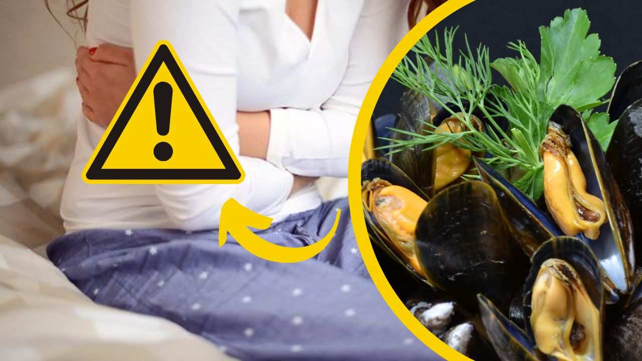 cozze pericolo alimentare riitiro dal commercio sequestro diossina