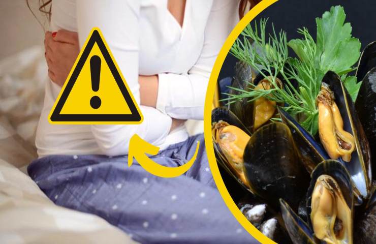 cozze pericolo alimentare riitiro dal commercio sequestro diossina 