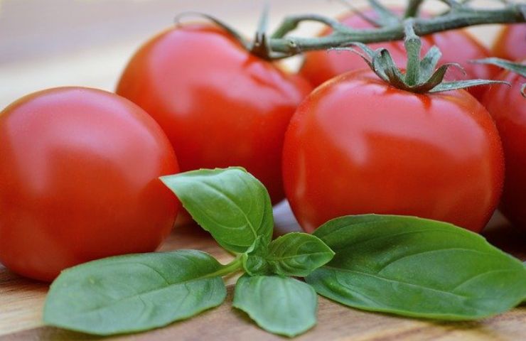 pomodori basilico cosa succede