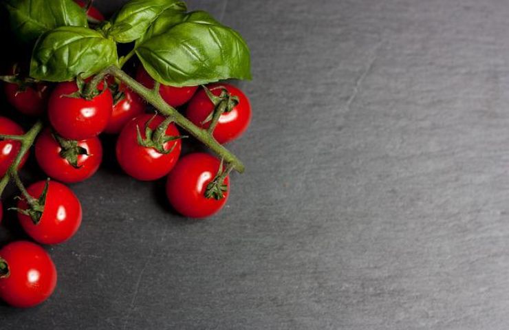 pomodori basilico perché no