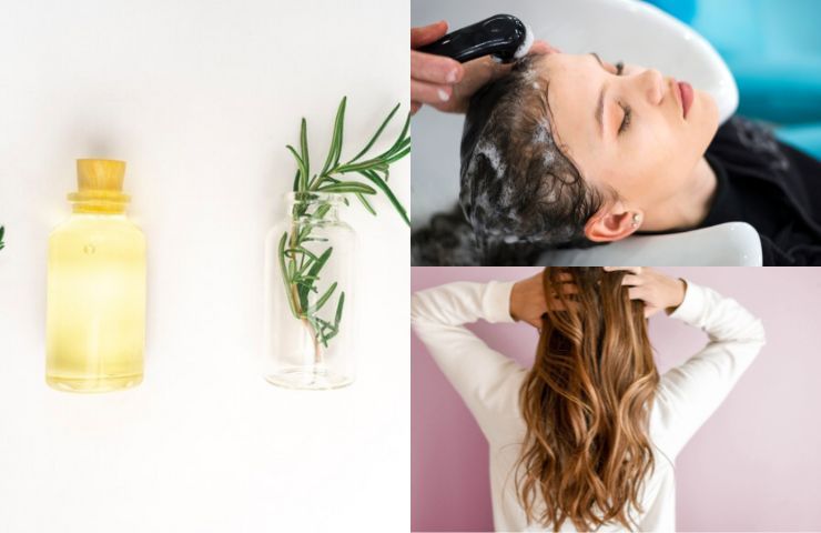 shampoo rosmarino crescita capelli rimedio naturale