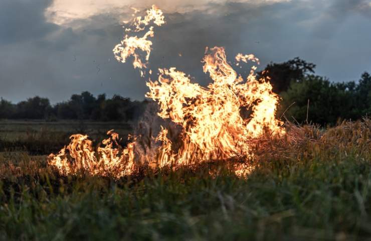 Giorgio Armani incendio