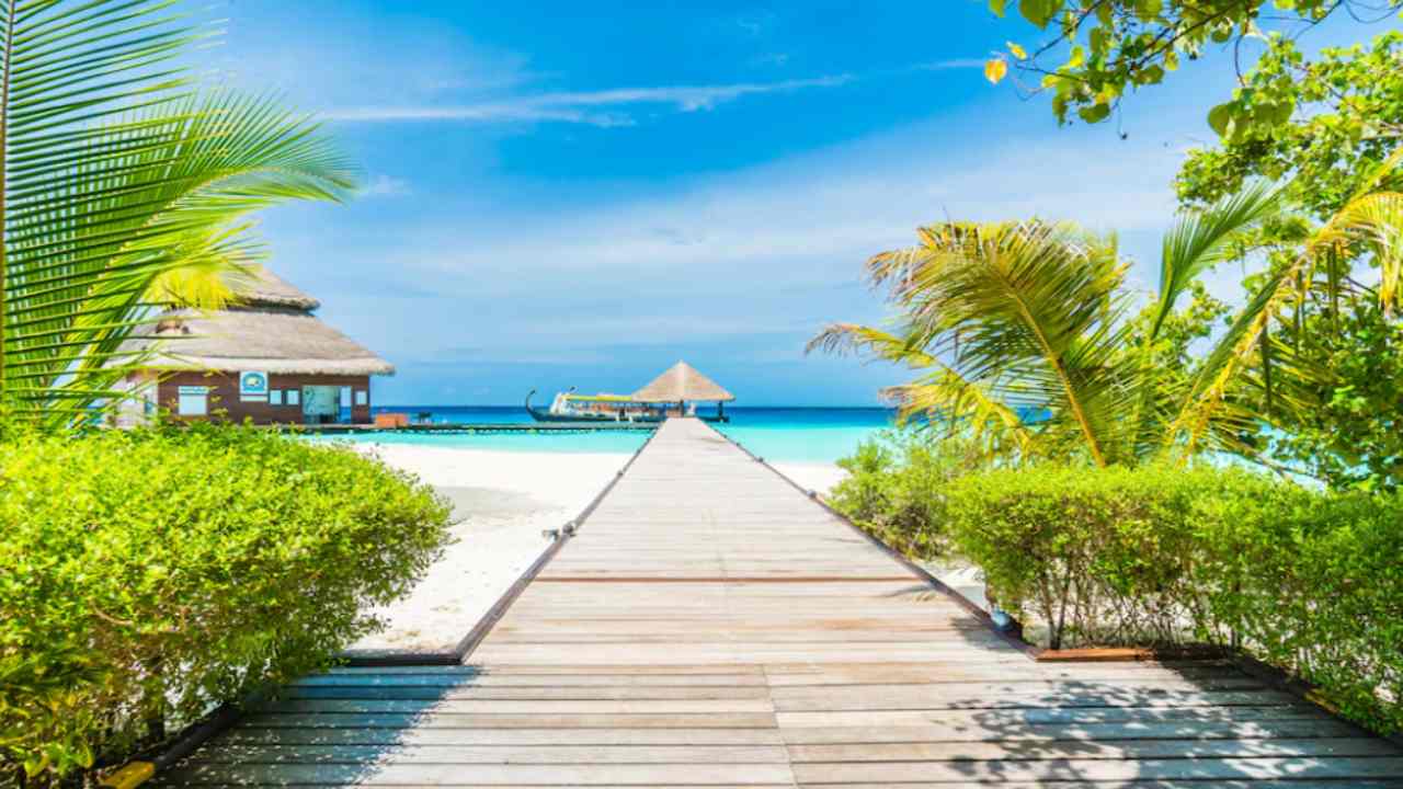 maldive