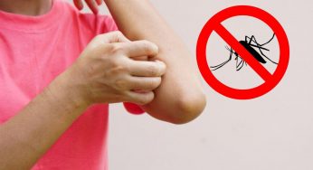 Zanzare, mangia questo cibo e non ti pungeranno: provare per credere
