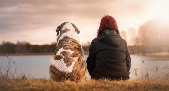 Dimmi che cane hai e ti dirò chi sei: perché la razza svela la personalità del padrone