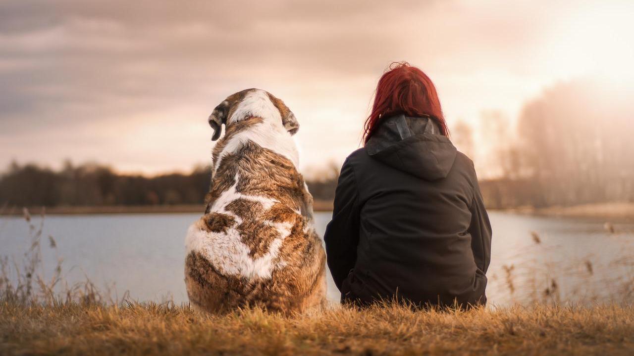 Cane e padrone personalità