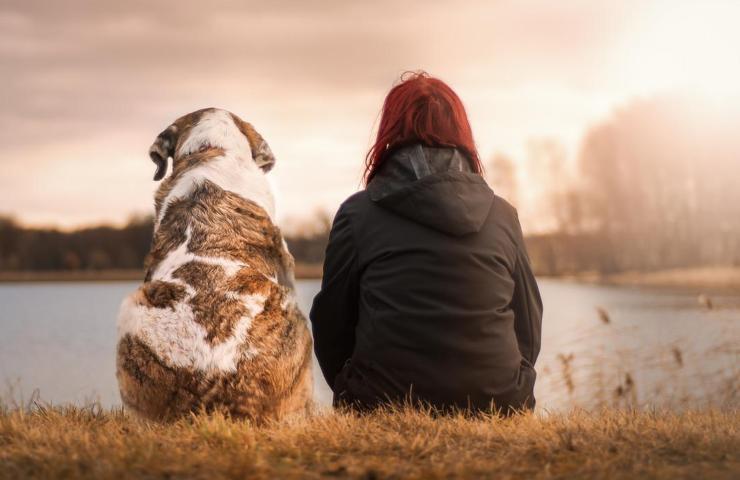 Cane e padrone personalità