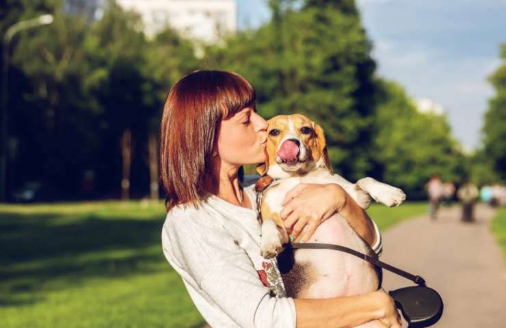 5 cose priuma di prendere un cane